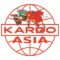 worldkardoasia.com